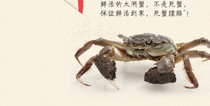 上海禮品